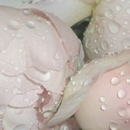 ♡