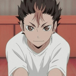 noya.