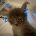 angelzie