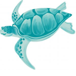 Turquoise Turtles