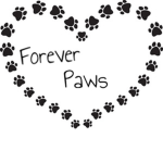 .✧*Forever Paws*✧.