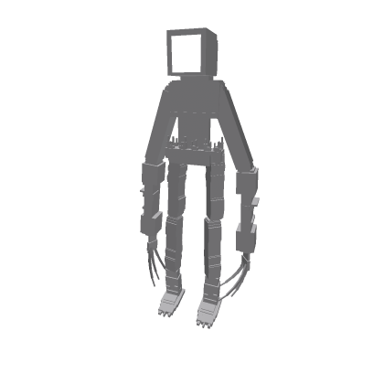 The Observer