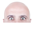 Bald world