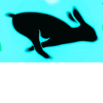 Bunny Area project