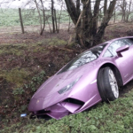 purples$