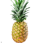 PINEAPPLES ARE NOT FOR EATING