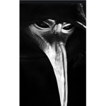 Plague doctor alliance