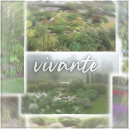 『vivante homestore』