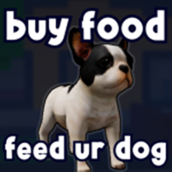 Get Food To Feed Your Dog
