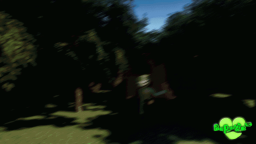 BRP:BWRS