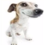 Antrjrhdhf
