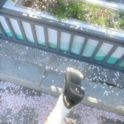 °