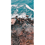 xxBestaysfxreverxx