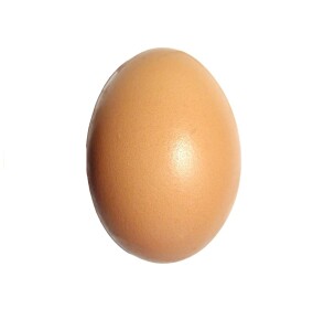 The Giant Egg