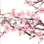 ~* Blossom Army *~