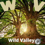 Wild valley