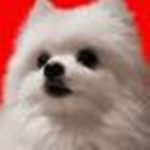 Gabe the Dog Club