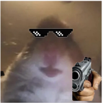 pyxstellix