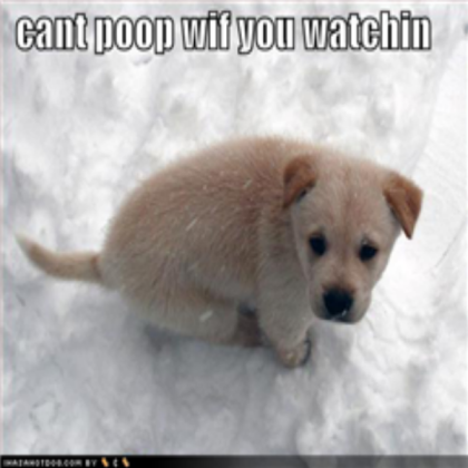 Cute Doggy *FREE TO TAKE* Roblox decal