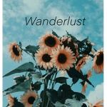 Wanderlust clothing store