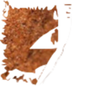 SPADEFOOT BEAR ROLEPLAY OFFICIAL GROUP