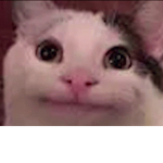 JfjrjdjfkkfjcP