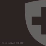 CH || Task Force TIGRIS