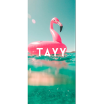 TxylorGames Army