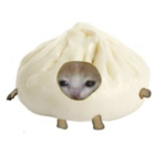 ~｡~Dｕｍｐｌｉｎｇ ａｒｍｙ~｡~