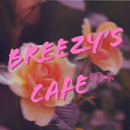 Breezy's Interview Center