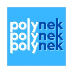 Polynek Studios