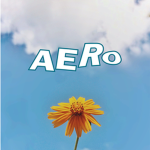 Aero ୨୧