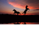 Dawn Riding Academy