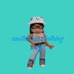 aesthetic's clothing shop!