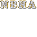 NBHA [National Ball Hockey Association]