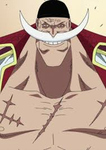 One Piece believers