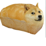 Shiba les c0ns