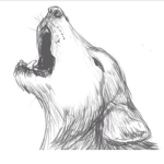 WOOF (Wolves Of Olive’s Forest)