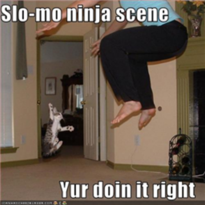 Funny cat pic 12 Roblox decal
