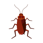 Uc_roaches
