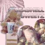 Seashell Sweetz