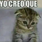 yo creo que