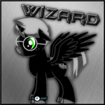 Wiz's Wizards