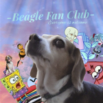~Beagle fan club~