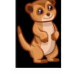 [MA]MEERKAT ARMT