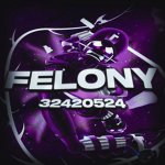 ﾞFelony