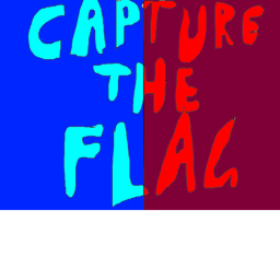 Capture The Flag