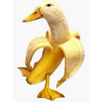 Banana duck…