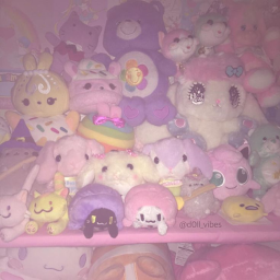 Softy clothing Home-store  (SMALL)