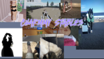 Charmmy Stables